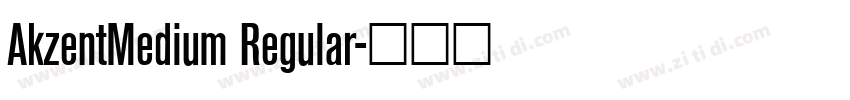 AkzentMedium Regular字体转换